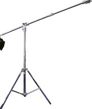 Pied stand girafe